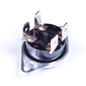 картинка Защитный термостат (таблетка) водонагревателя в Сервисном центре «Близнецов»